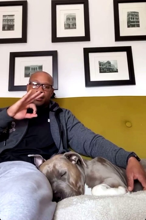 Magic Word Wakes Doggie from Deep Sleep