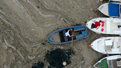 'Sea snot' in Turkey raises alarms for environmentalists