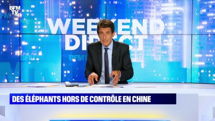 Des éléphants hors de controle en Chine - 04/06