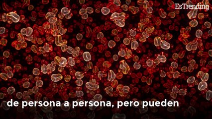 ¿Qué es el ‘hongo negro’ que afecta a los pacientes con COVID-19?