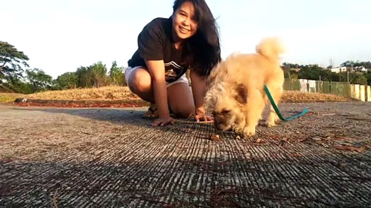 Chillin With My Dog