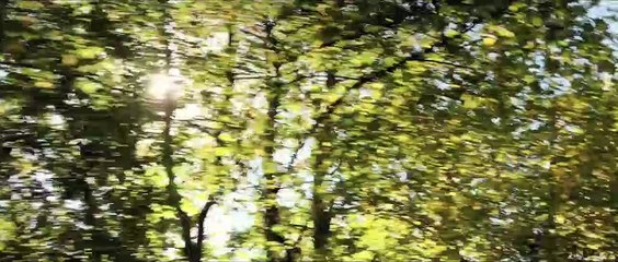 Les plus belles années d'une vie (2019) - Bande annonce