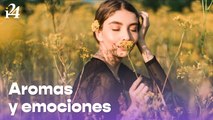 Los aromas activan tus emociones