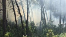 Karatepe Milli Parkı’nda orman yangını