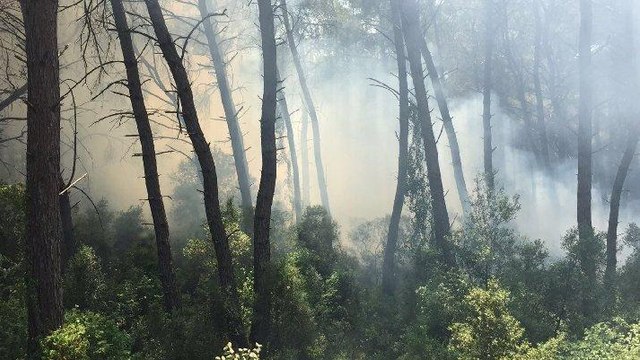 Karatepe Milli Parkı’nda orman yangını