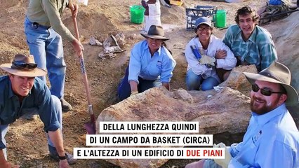 Australia, trovati i resti di un dinosauro gigante: era lungo 30 metri