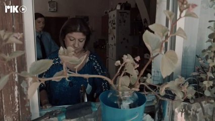 Το μυστικό της πεταλούδας Επ8