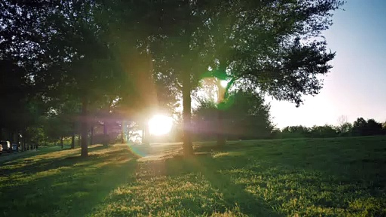 Meadow surrounded by trees on a sunny afternoon