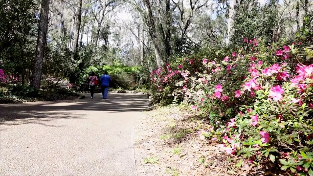 Rainbow Springs State Park (Dunnellon, FL) - Travel VLOG Video Tour & Review