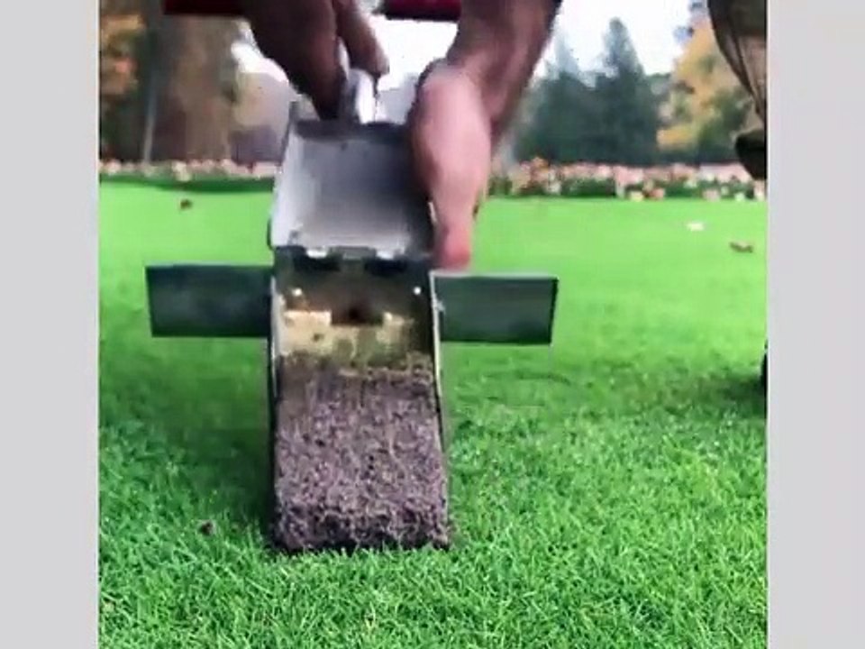 Most Amazing inventions and People's professional skills