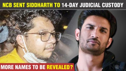 SSR Case: Siddharth Pithani Sent To 14-Day Judicial Custody |Ahead Of 1 Year Of Sushant’s Passing