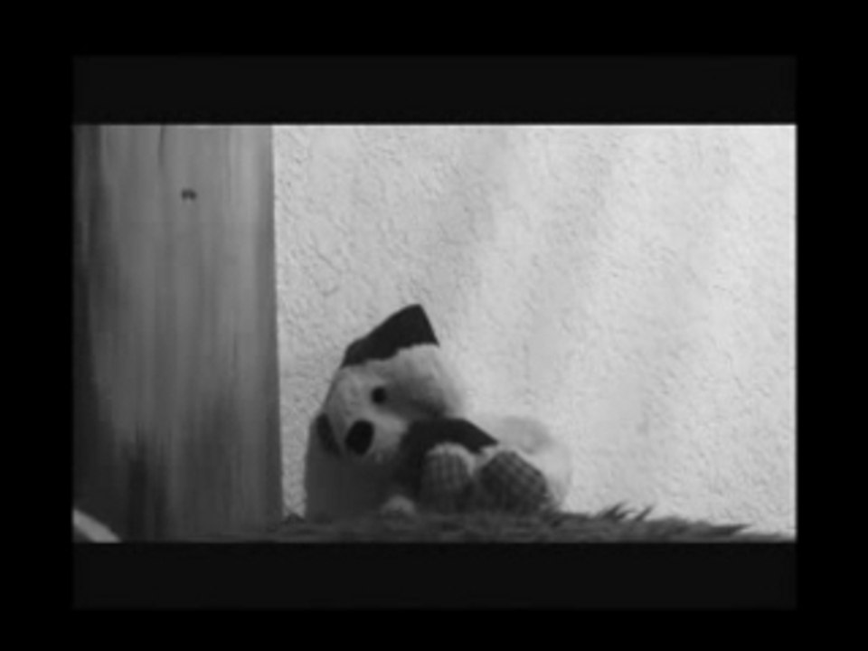 Nounours