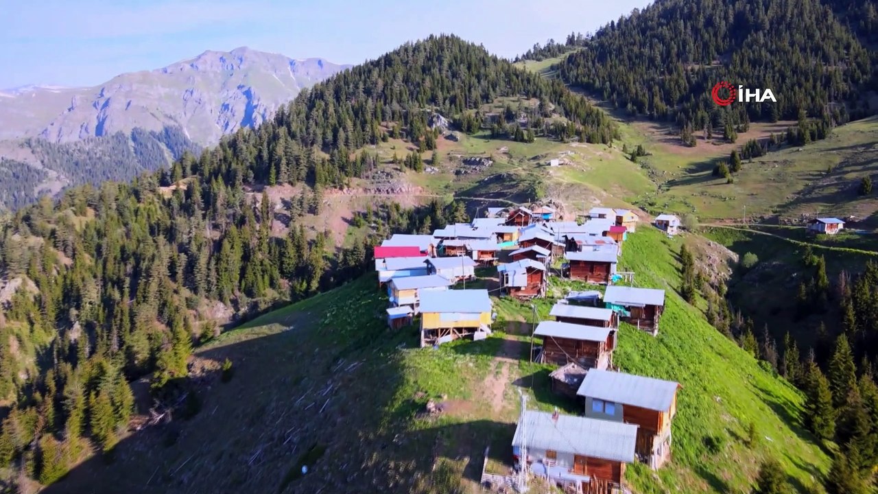 Pokut değil Boselta Yaylası