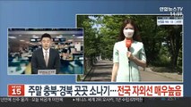 [날씨] 주말 충북·경북 곳곳 소나기…전국 자외선 매우 높음
