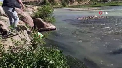 Kaçak balık avcılarına 71 bin 454 TL ceza