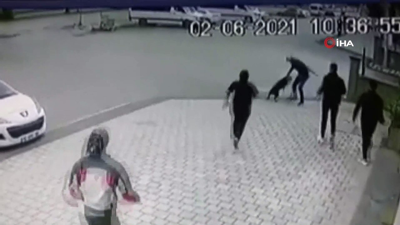 Pitbull dehşeti kamerada