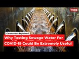 'Humans Shed COVID-19 in Their Stools, Testing Sewage Water Could Be Very Useful' | COVID-19 Updates