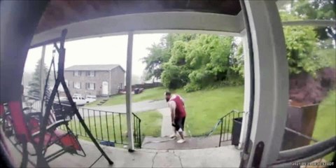 Deer and Doggy Have Early Morning Encounter