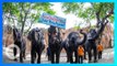 Kebun Binatang di Thailand Jual Hewan Karena Kurangnya Pengunjung Akibat Pandemi - TomoNews