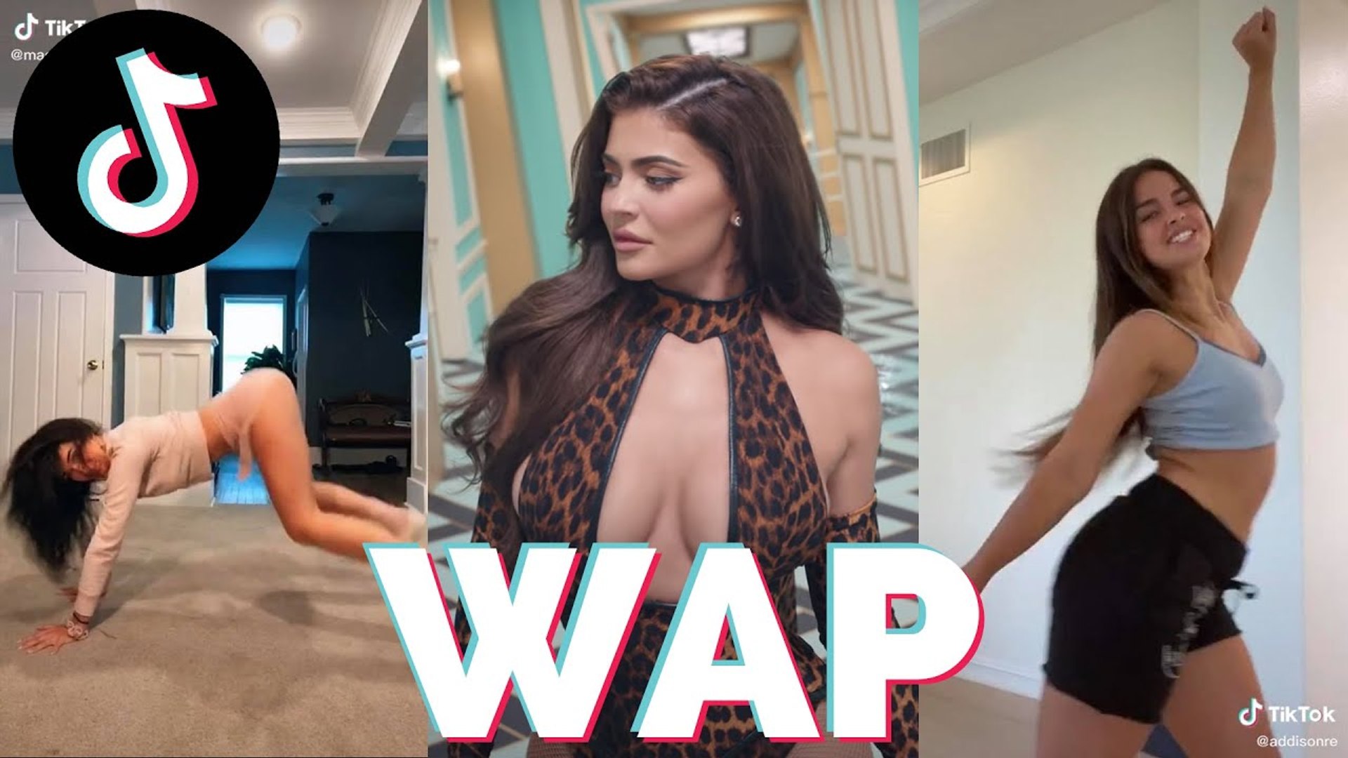 ⁣WAP Challenge Dance-MEME TikTok Compilation 2020 - Cardi B feat. Megan Thee Stallion