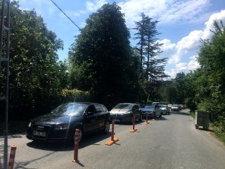 İlk kısıtlamasız Cumartesi gününde İstanbullular, Belgrad Ormanı'na akın etti