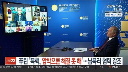 푸틴 "北압박해선 북핵 해결 못해"…남북러 협력 강조