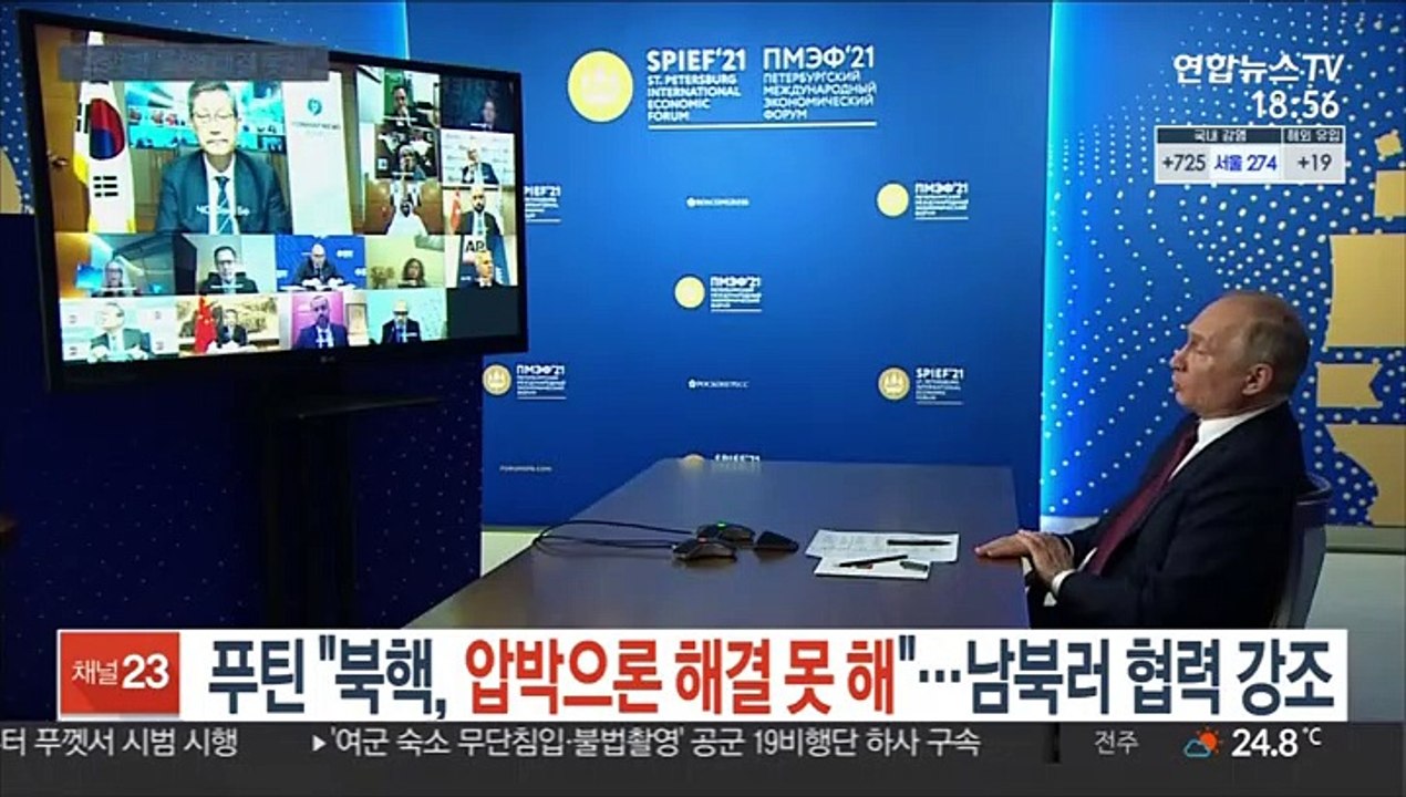푸틴 "北압박해선 북핵 해결 못해"…남북러 협력 강조