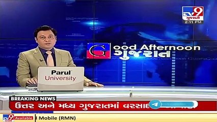 Lightning hits tree in Vadodara _ TV9News