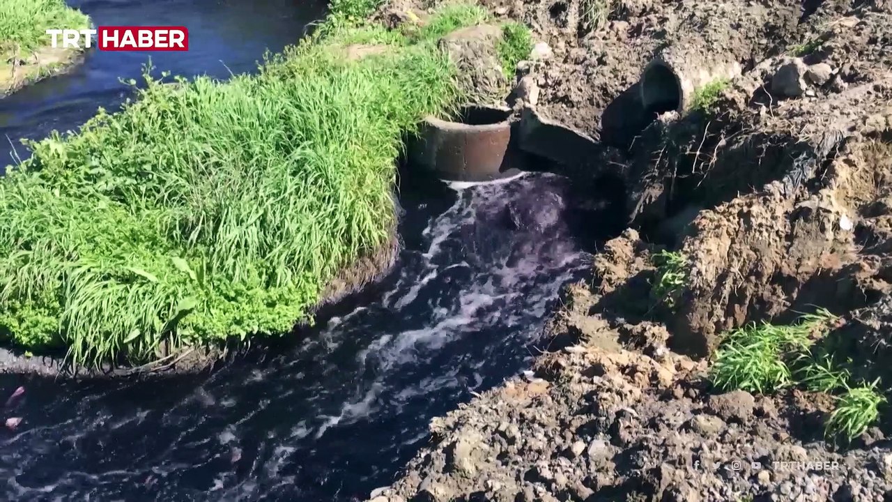 Ergene Nehri can çekişiyor