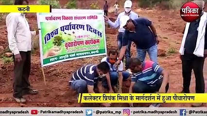 शहर में एक साथ लगाए गए हजारों पौधे, कलेक्टर और एसपी समेत लोगों ने लिया हरियाली का संकल्प