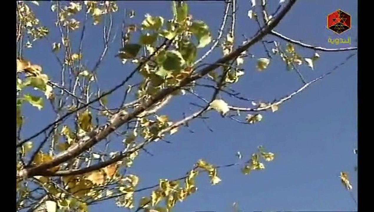 مسلسل جواهر الجزء الثاني - الحلقة الاخيرة