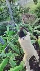 அந்தரத்தில் தொங்கியபடி.. மின் ஊழியர் செய்த துணிச்சலான காரியம் - வீடியோ