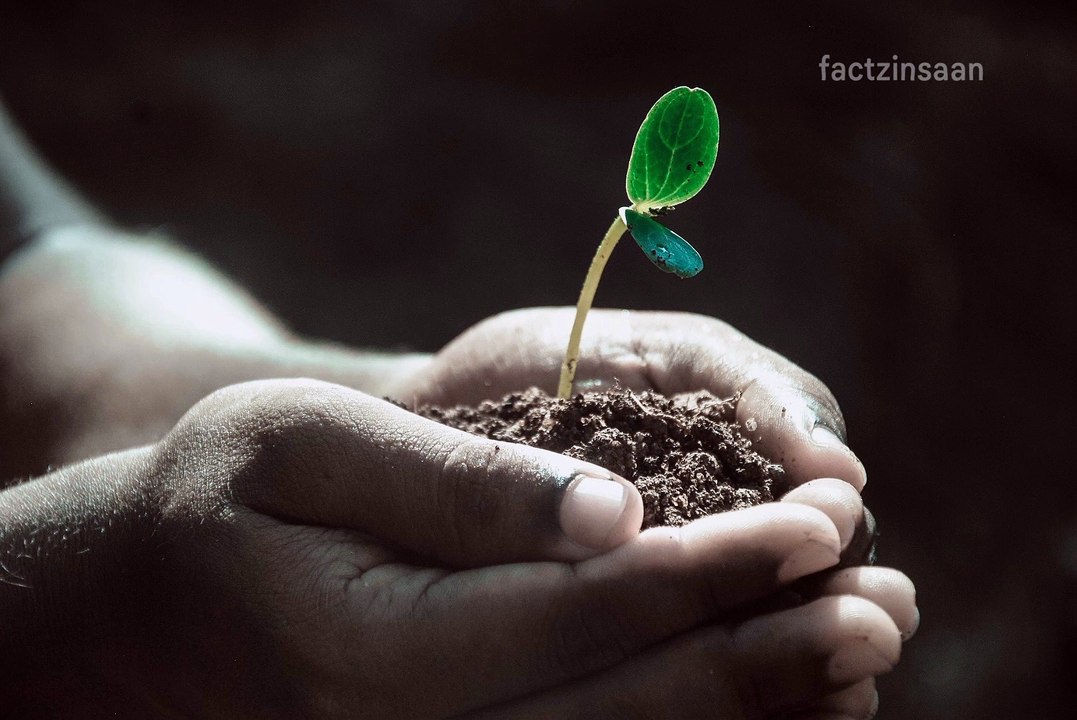 World Environment Day