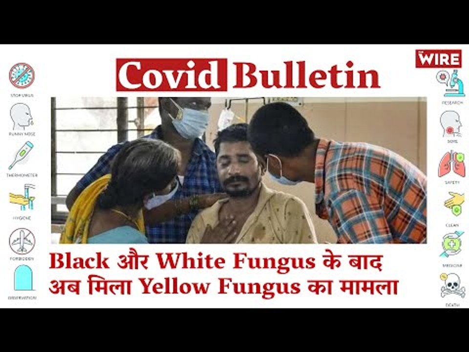 COVID Bulletin: After Black and White Fungus, Yellow Variety Found | Coronavirus