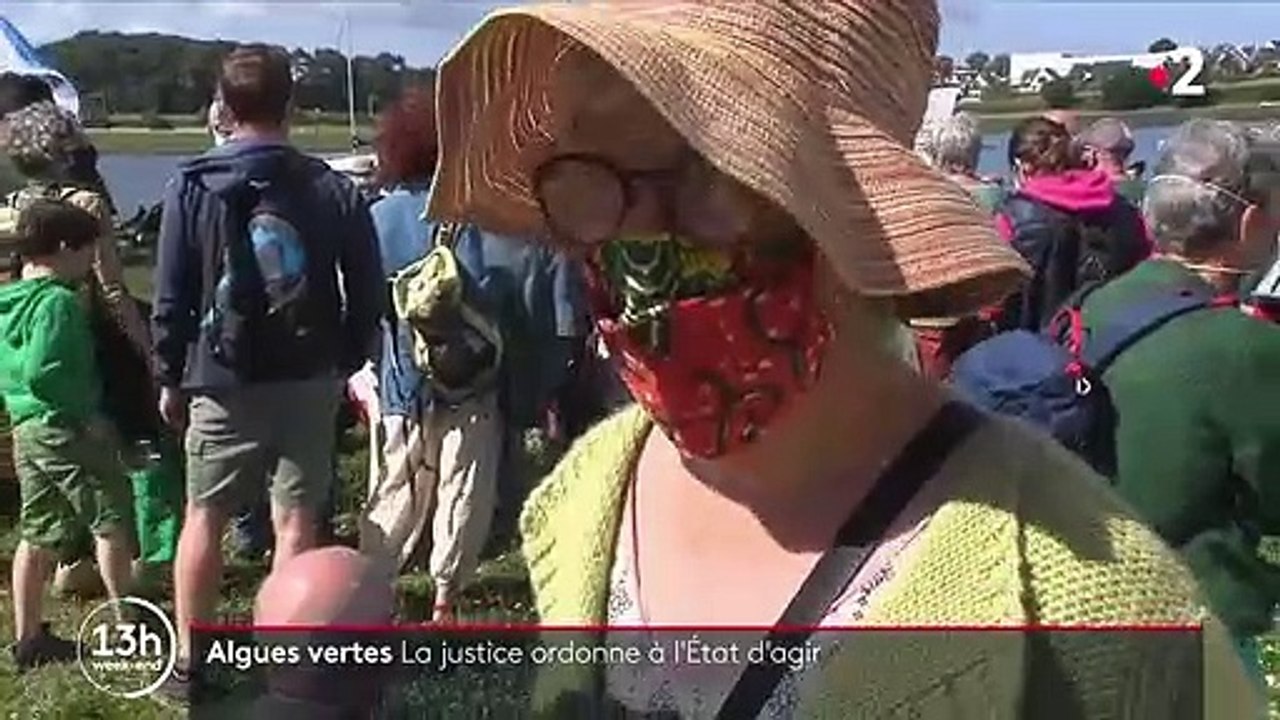 Bretagne : l'État ne lutte pas assez contre les algues vertes, selon la justice