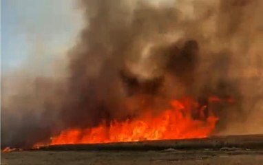 BUĞDAY TARLASINDAKİ YANGIN 2 SAATTE SÖNDÜRÜLDÜ
