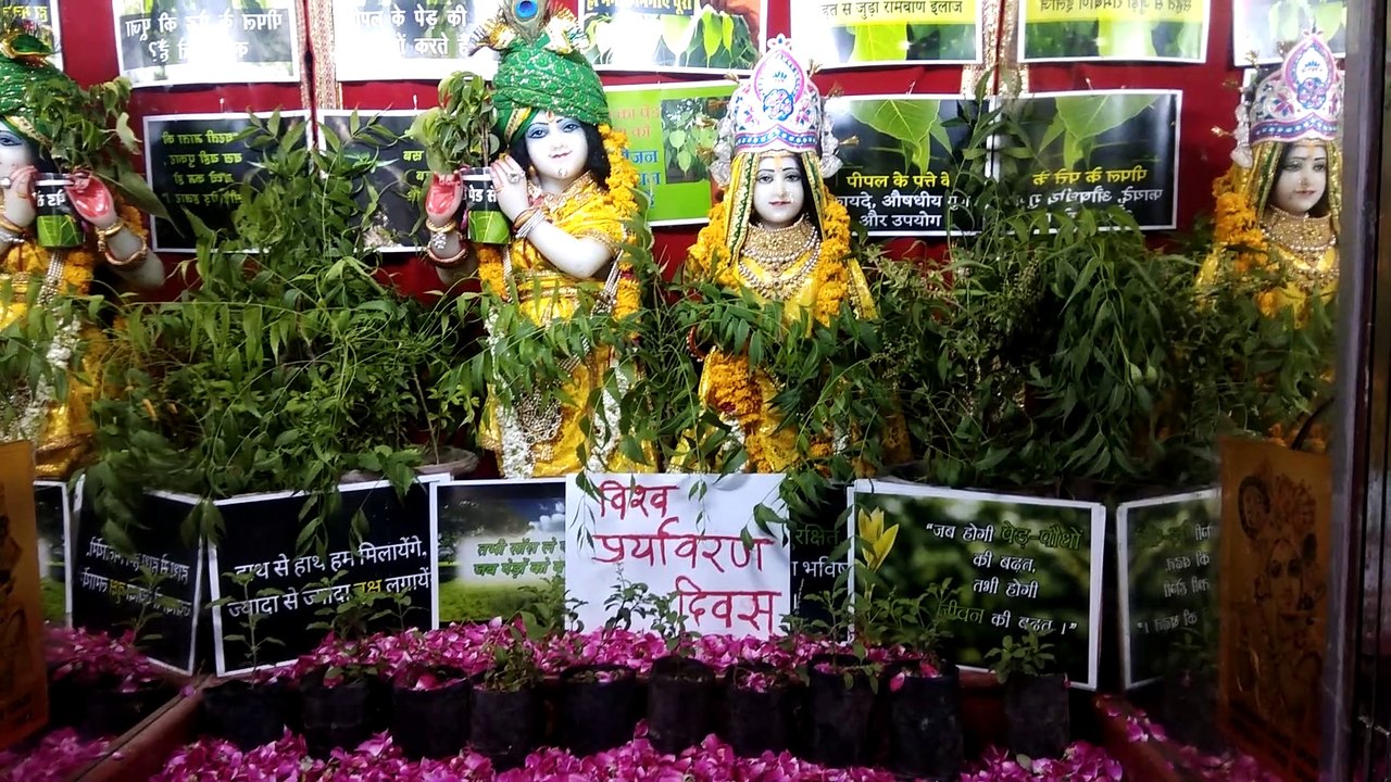 विश्व पर्यावरण दिवस पर ठाकुर जी दे रहे पेड़ लगाओ जीवन बचाओ का संदेश