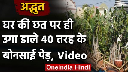 Jabalpur में इस शख्स ने घर की छत पर  2,500 से ज्यादा Bonsai पौधे उगा डाले । वनइंडिया हिंदी