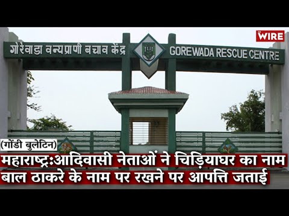 Gondi Bulletin:महाराष्ट्र:आदिवासी नेताओं ने चिड़ियाघर का नाम बाल ठाकरे के नाम पर रखने पर आपत्ति जताई