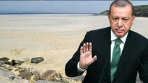 Son dakika! Cumhurbaşkanı Erdoğan talimatı verdi: Marmara'yı deniz salyasından kurtaracağız