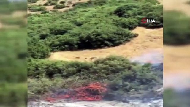 Makilik alandaki yangına havadan ve karadan müdahale