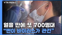 열흘 만에 또 700명대...