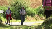 Pilgrims in Spain walk the Camino again to reach Santiago's cathedral