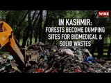 In Kashmir: Forests Become Dumping Sites For Biomedical & Solid Wastes