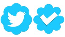 Twitter Halts Account Verification Process Within A Week Of Relaunch; Here's Why