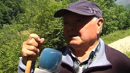 El aumento de la población de osos en Asturias eleva la probabilidad de tropezar con uno