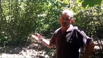 Sel felaketinin bilançosu çok ağır!