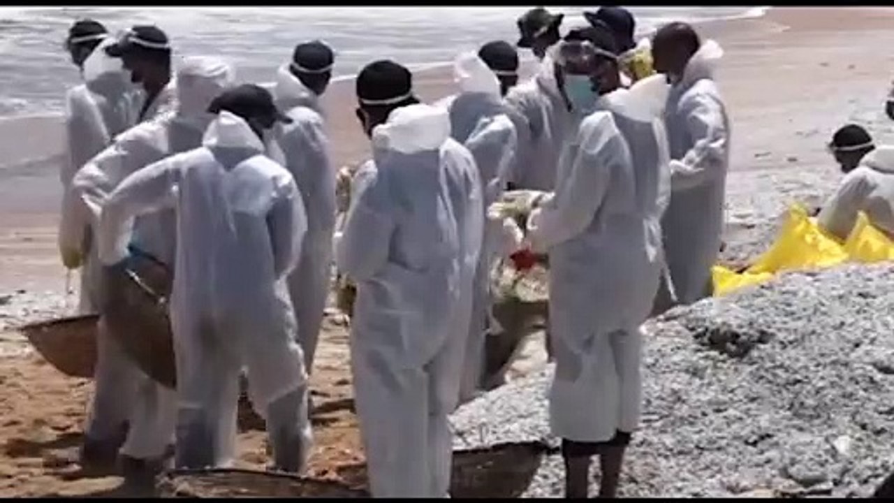 Экологи обратились в суд с иском против правительства Шри-Ланки