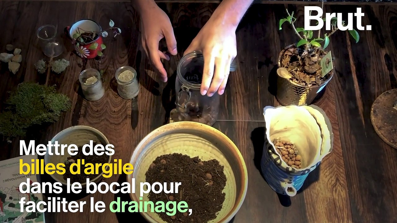 Tutos jardinage : comment fabriquer un terrarium