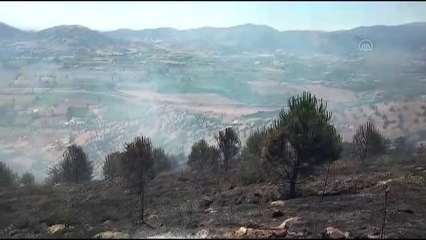 Ormanlık alana sıçrayan yangın kontrol altına alındı